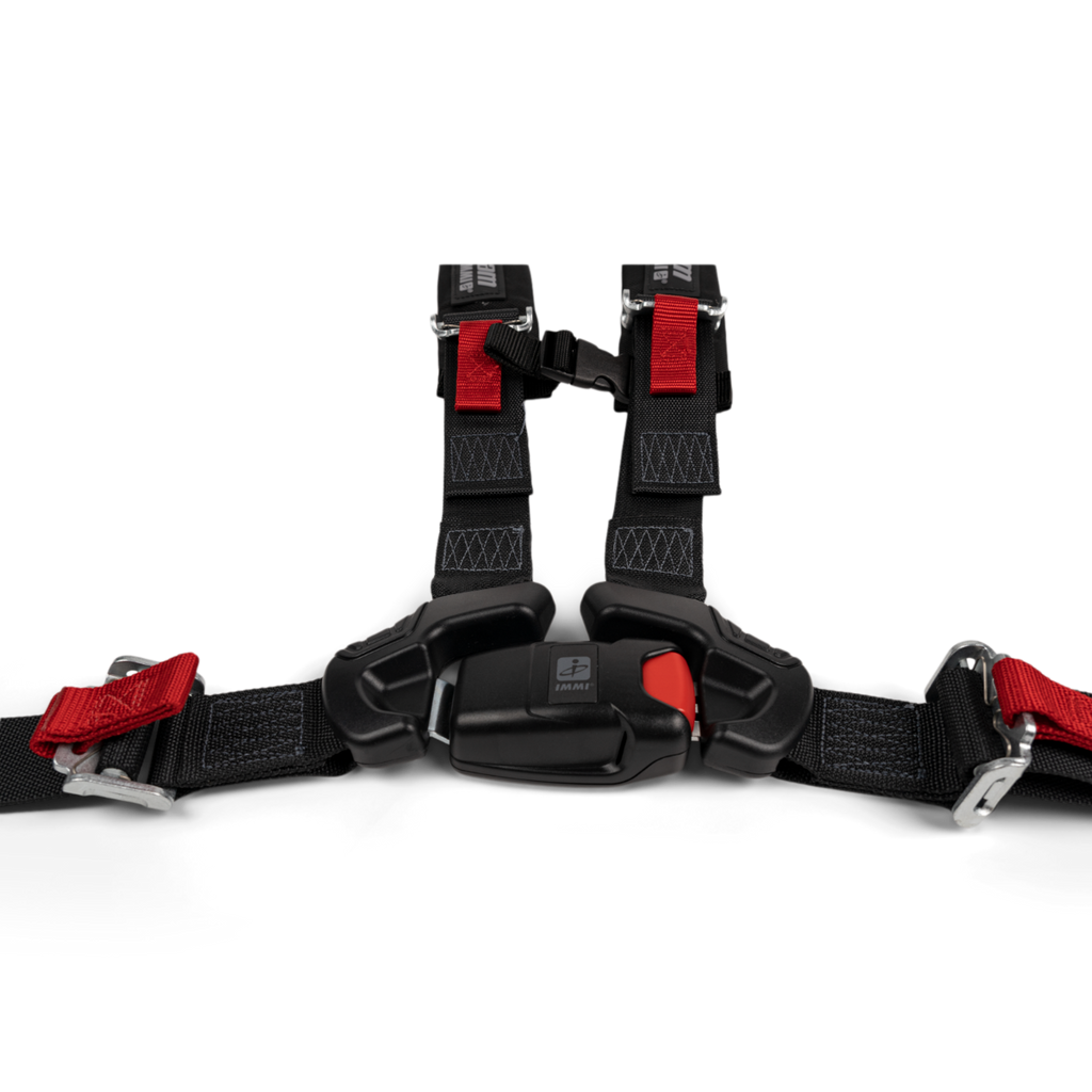 4-Point Harness (driver)