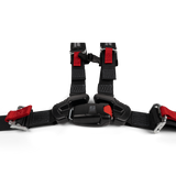 4-Point Harness (driver)