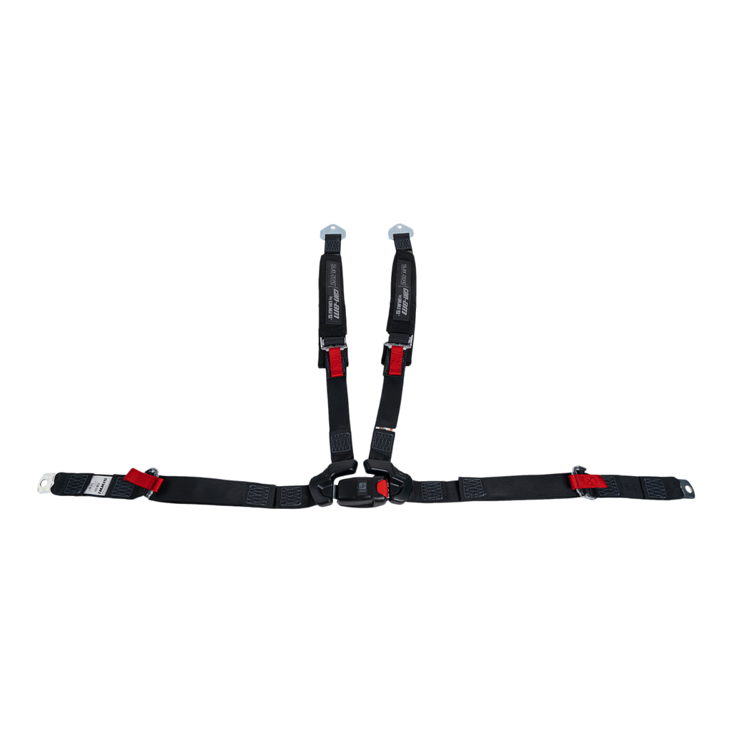 4-Point Harness (passenger)
