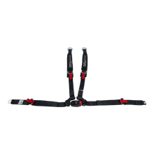 Load image into Gallery viewer, 4-Point Harness (passenger)